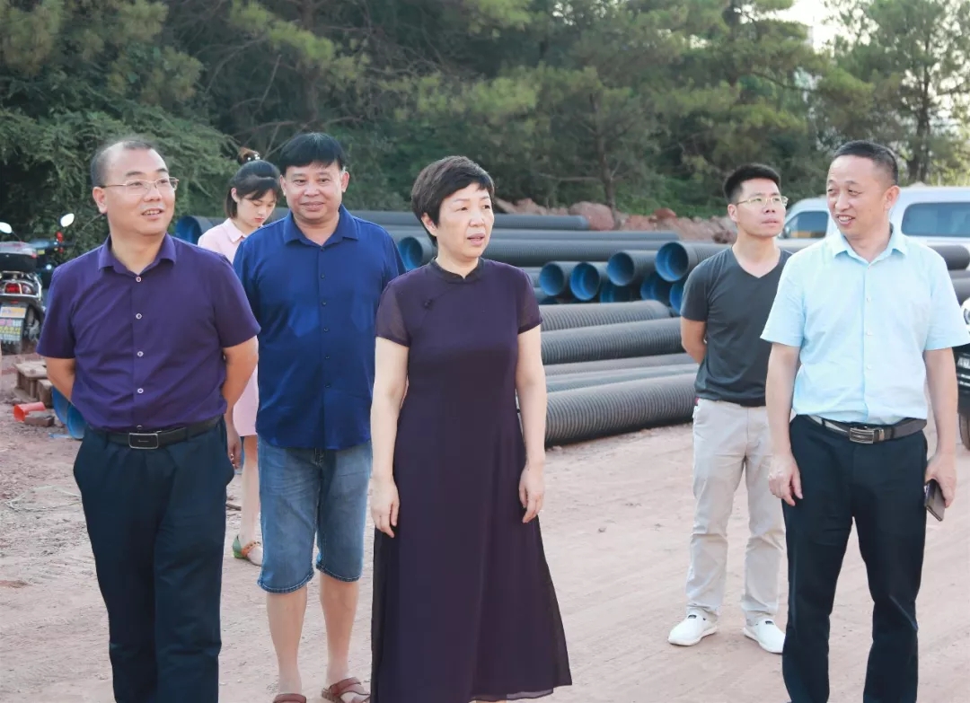 县委常委,宣传部长戈竹武陪同调研.