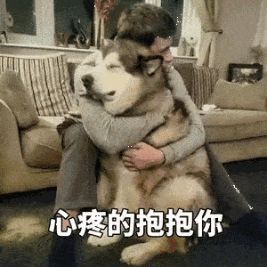 300_300gif 动态图 动图