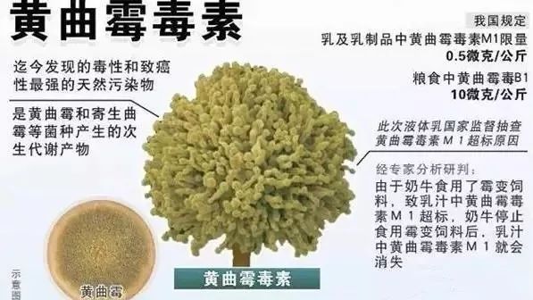 比砒霜還毒百倍這個致癌毒素你可能每天都接觸還不知道