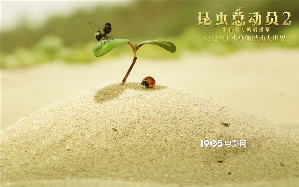 友善的瓢虫父子cox和junior为帮好友黑蚂蚁mandible逃脱红蚂蚁的袭击