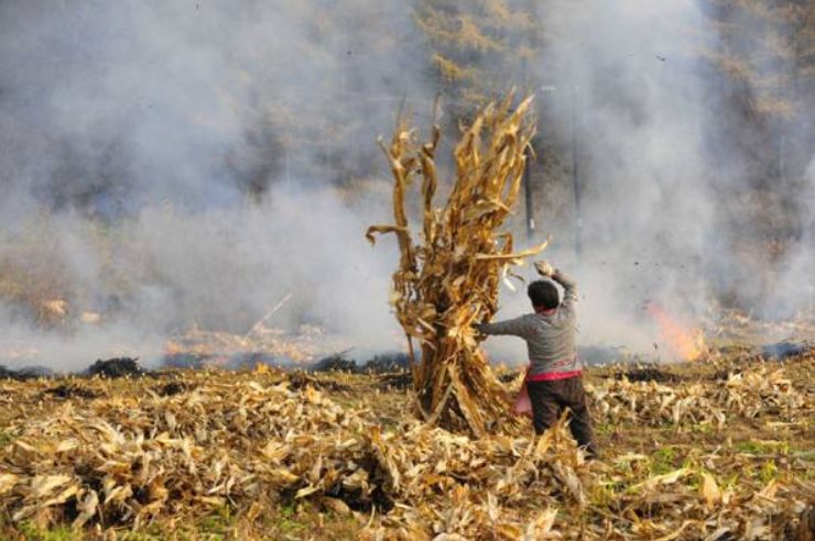 露天焚烧不要心存侥幸城市之眼24小时全程监控
