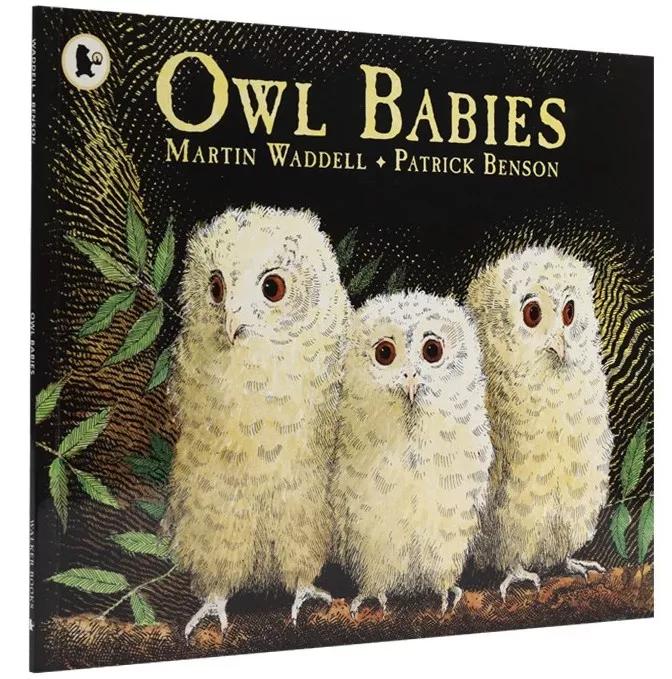 绘本趣读丨宝宝不肯上幼儿园,就陪他读 owl babies