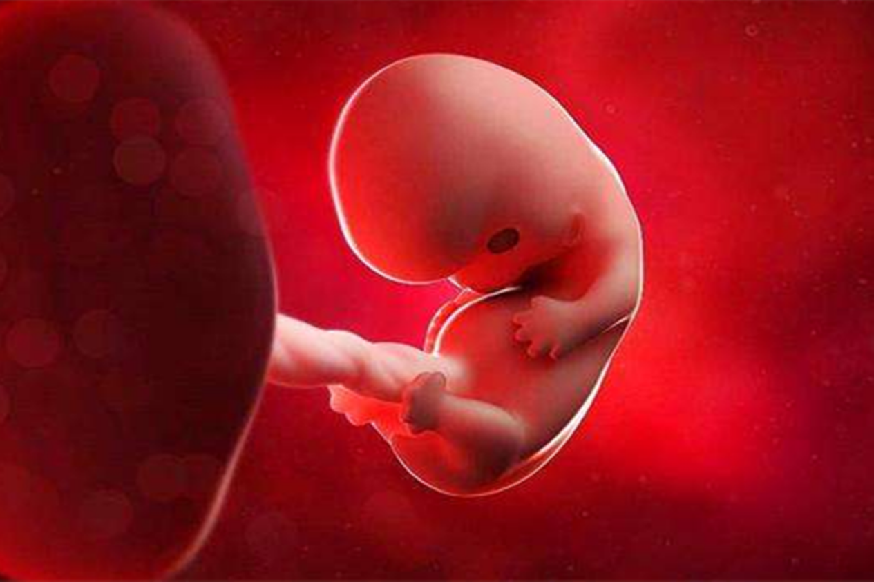 怀孕4个半月后:此时胎儿就能分辨出甜和苦的味道了,接近足月时,味蕾