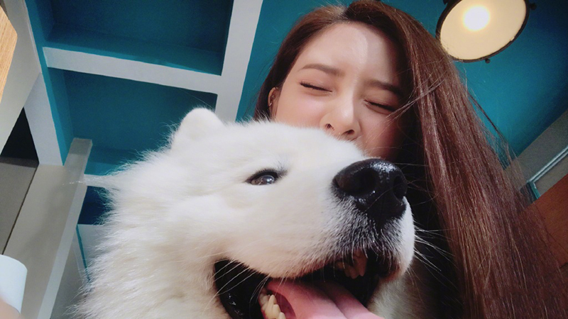 宋妍霏机场再秀小蛮腰穿黑色t恤搭配豹纹长裤气场超强大