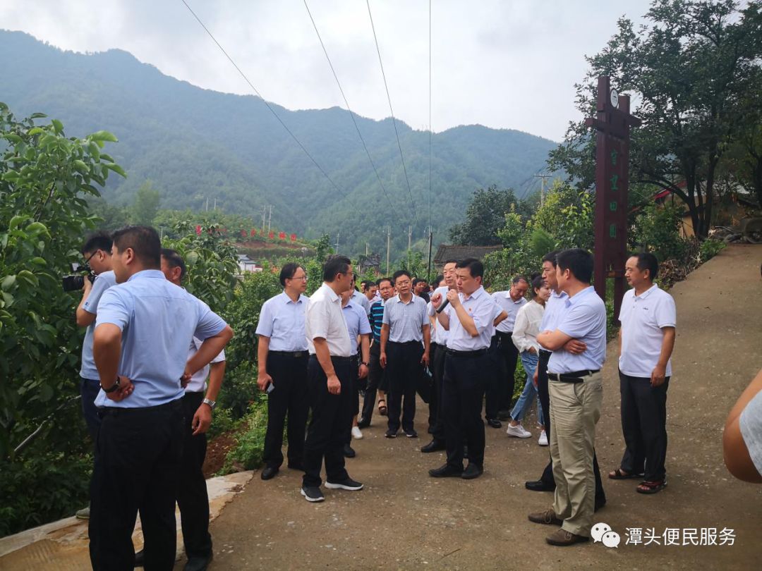 洛阳市国储林项目建设暨国土绿化谋划工作现场观摩走进