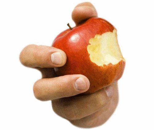 500_420gif 动态图 动图