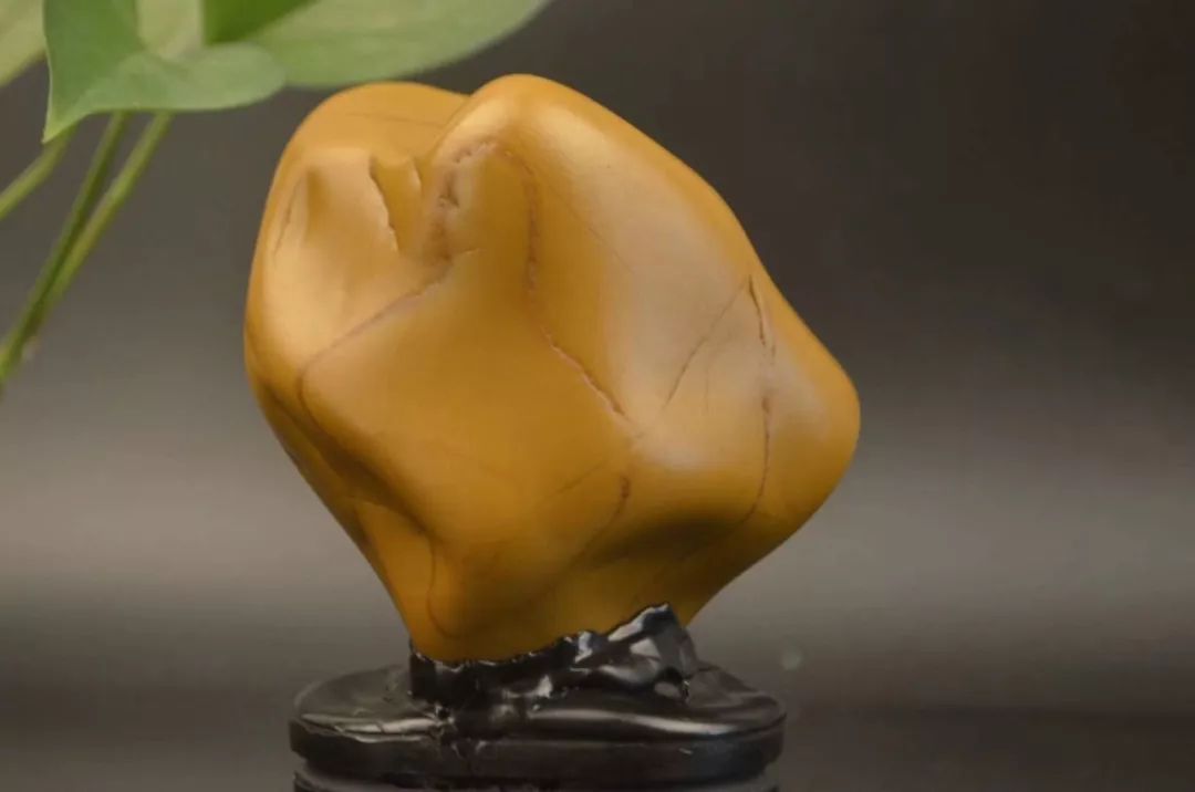 杂谈也谈黄蜡石的观赏价值与艺术价值