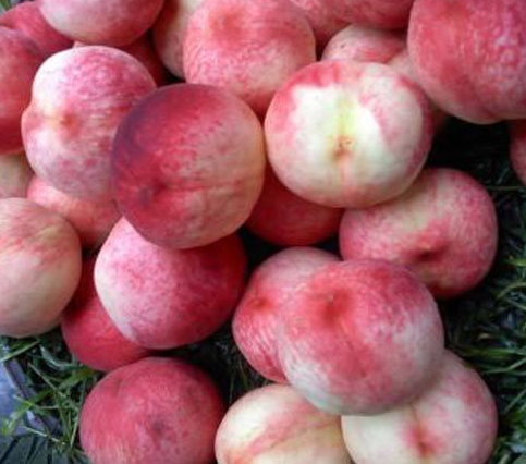 桃子不耐放?跟着大厨做"果酱",清甜可口,配着面包吃绝了