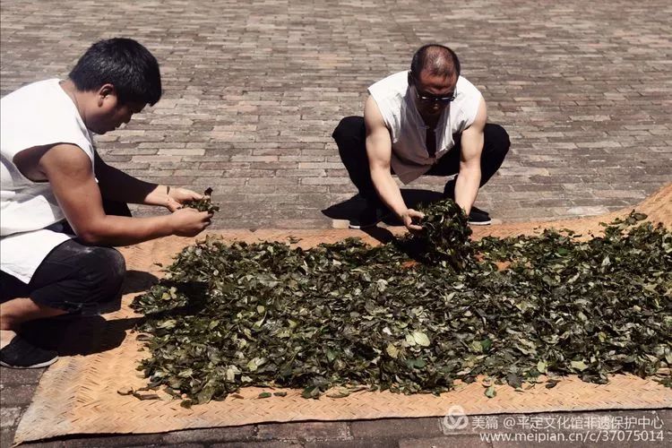 非物质文化遗产项目冠山连翘茶传统制作技艺