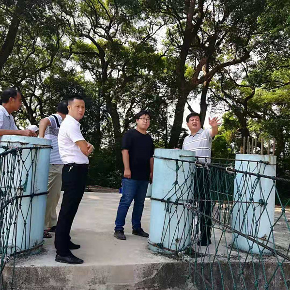 副县长杜国辉同志到牛田镇水南村古樟树林调研古樟树林景区建设工作