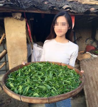 賣茶女用這招騙了好多人