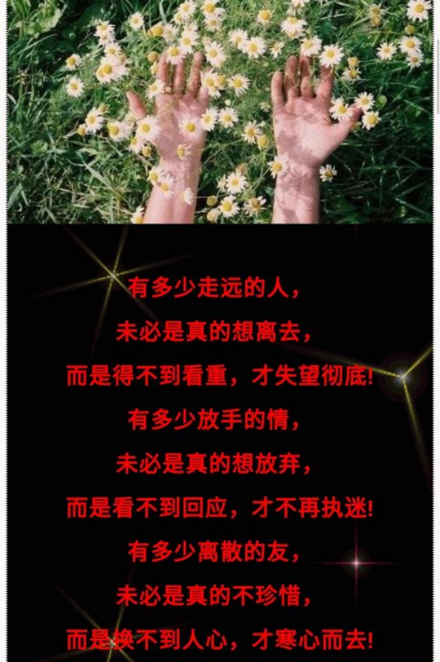 什么叫珍惜最好的回答是你要珍惜我如命