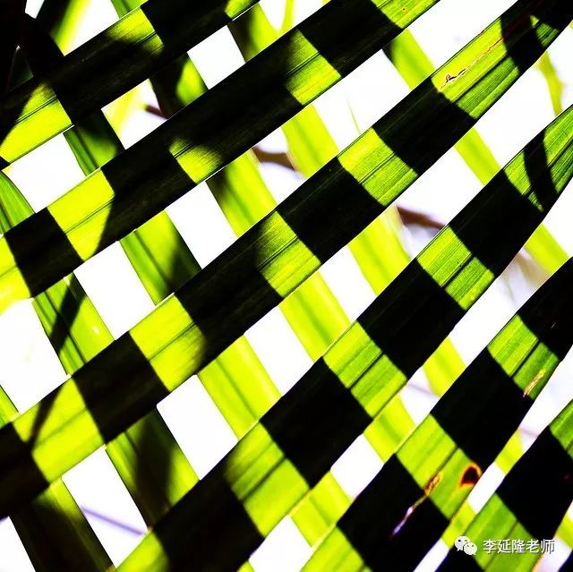 crisscross的意思是来回穿梭的,纵横交错的.
