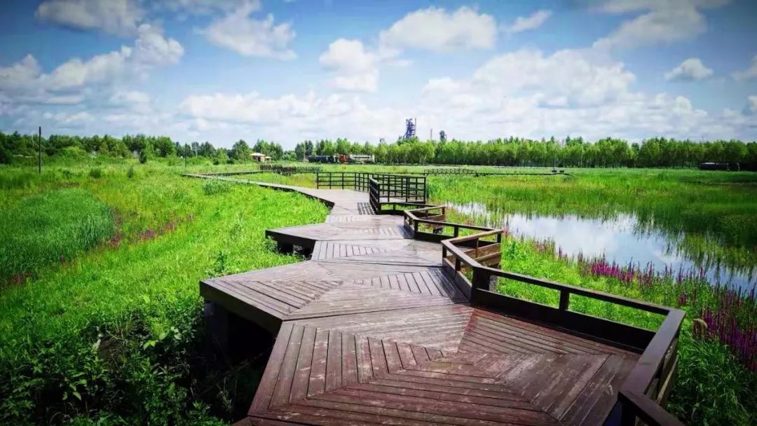 ▽实景照片特色景观廊采用有防腐木为框架,有机玻璃为主要表皮,不锈钢