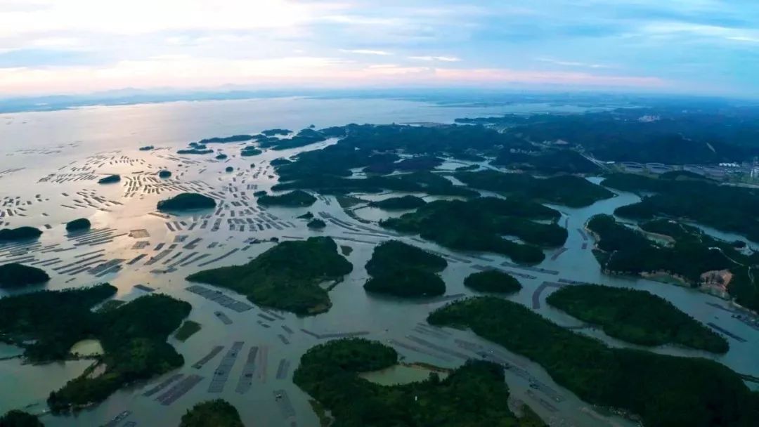 钦州湾你怎么这么好看