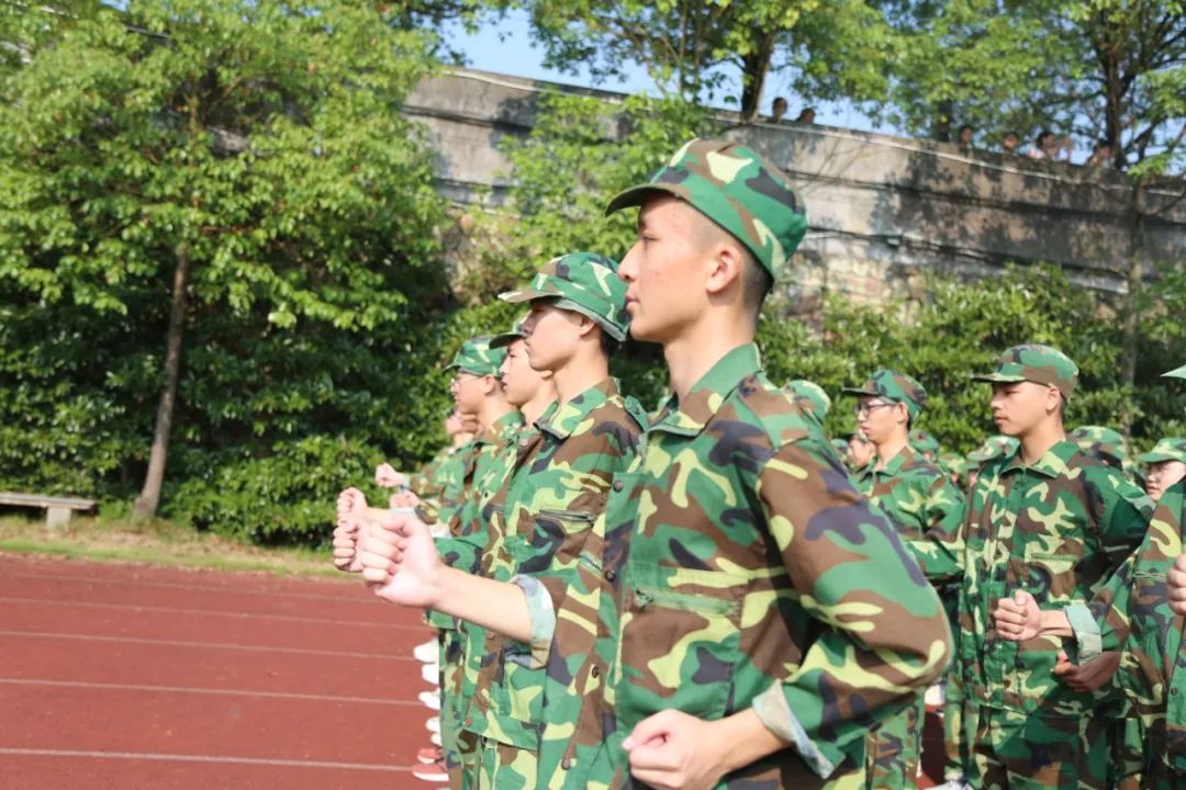 那抹昂扬的绿在阳光下茁壮成长云和中学第三十一期军训剪影