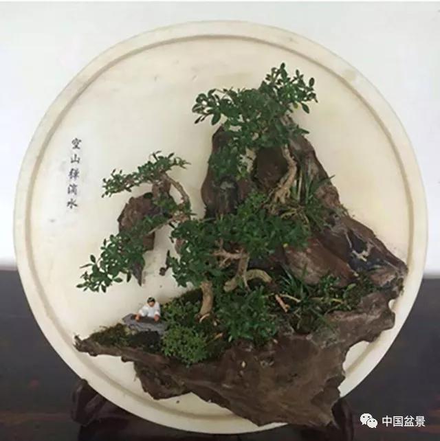 總的說來,川派盆景的藝術風格:樹樁以古樸嚴謹,虯曲多姿為特色;山水