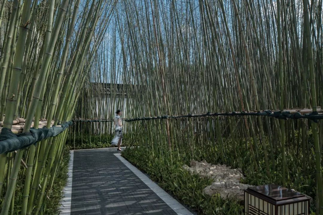 蓝光·重庆芙蓉公馆实景图丝竹径内,宛若置身于竹林夹道,微风而过