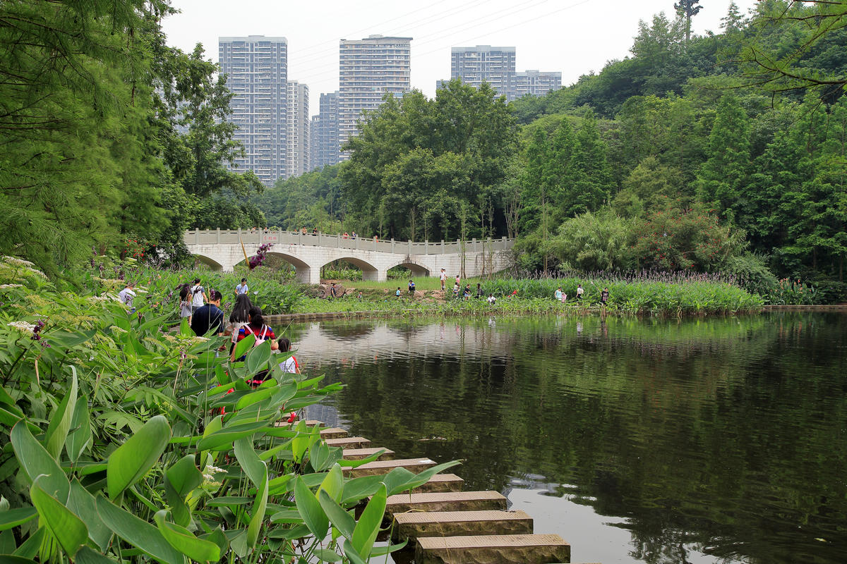 重庆市七彩湖风景区图片