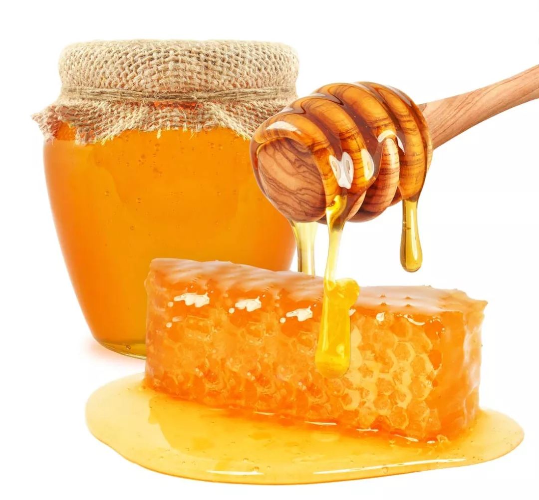蜂蜜的禁忌图片