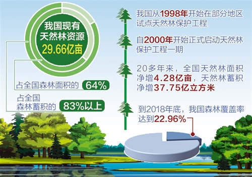 中国森林覆盖率2050图片