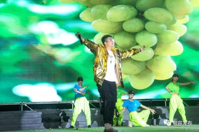 经典乡村电影怀旧歌曲联唱著名女高音歌唱家,国家一级演员陈明华女声