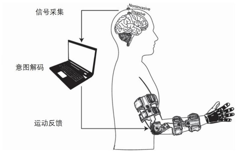 基于脑机接口的手功能主动康复技术产品篇