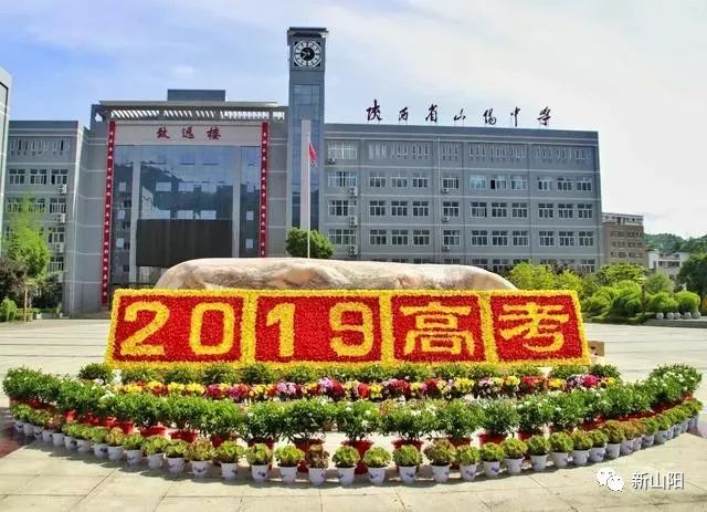 喜报山阳中学2019年高考再创佳绩附部分录取名单
