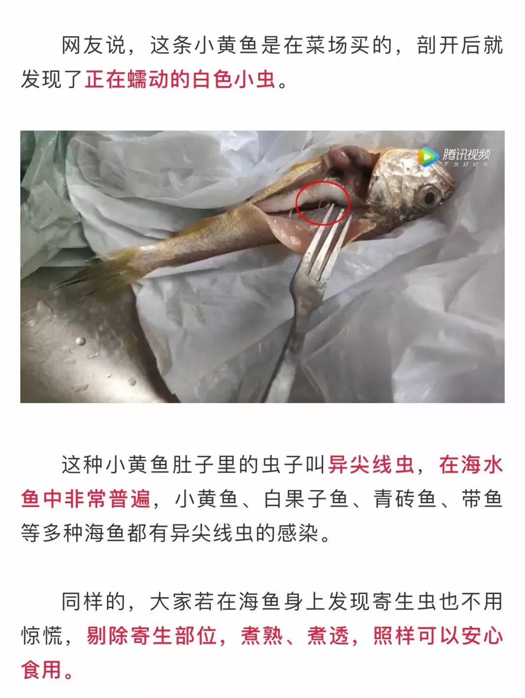 浙江男子买了几只梭子蟹剥开一看密密麻麻全是食用前切记这点