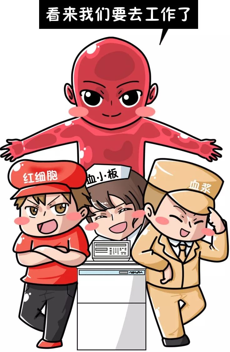 献一次血,到底可以救多少人?_血液