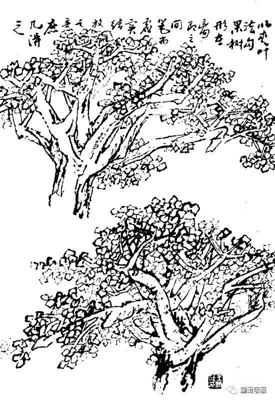 百树谱百树画谱收藏备用