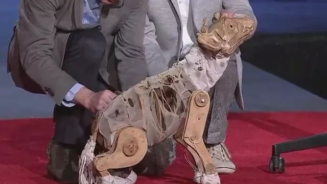 本周末史诗巨献舞台剧战马中文版荣耀归来