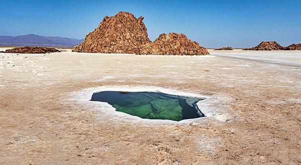 在盐漠中游泳荒漠中现绿色甘泉