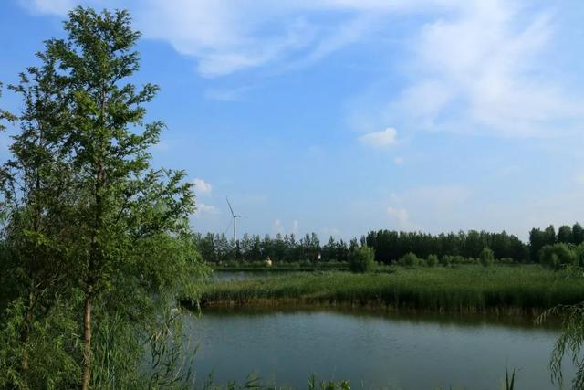 东明黄河国家湿地公园,随手一拍就是一部大片!