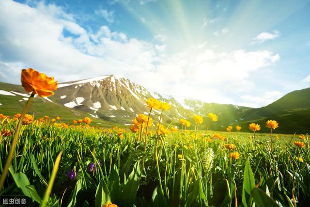 阳光向上的励志句子句句正能量