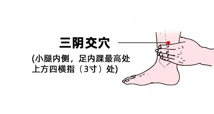 【功效】加強胃腸蠕動,調節脾胃功能,增強人的整體免疫能力,促進腦