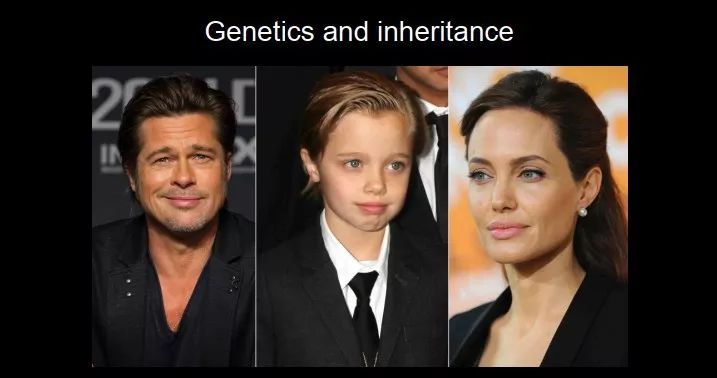 清华颉伟教授告诉你当我们在讨论表观遗传的遗传时我们究竟在讨论什么