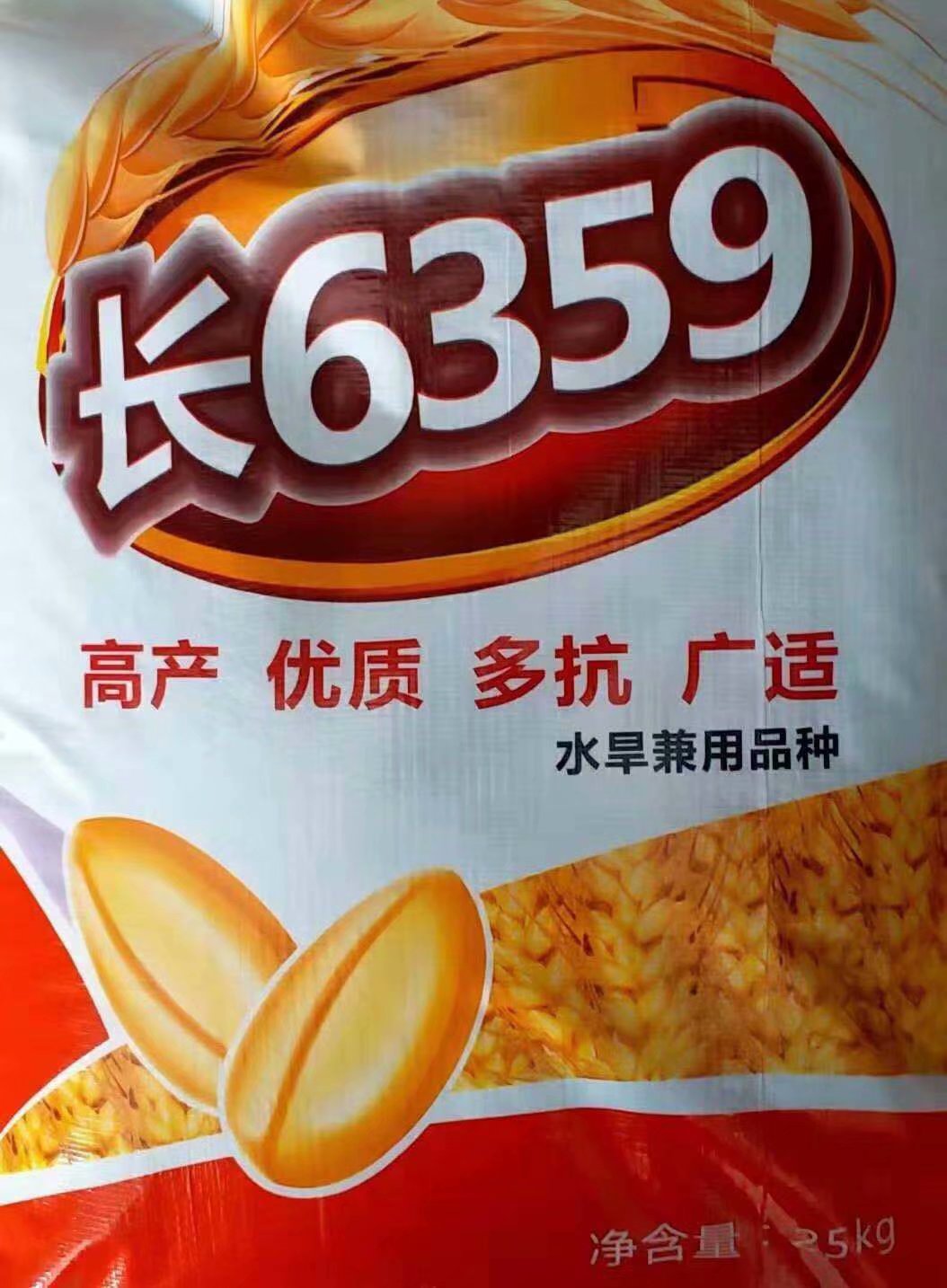 洛旱17小麦品种图片