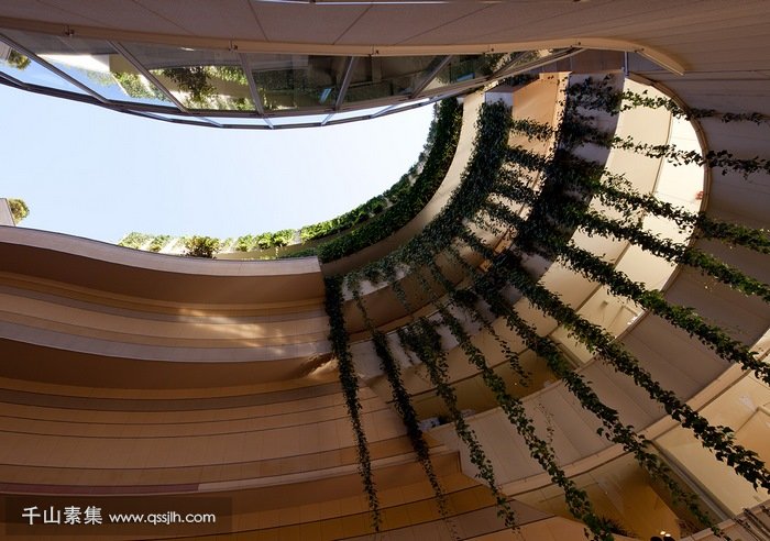 难波公园立体绿化蜿蜒曲折的垂直森林