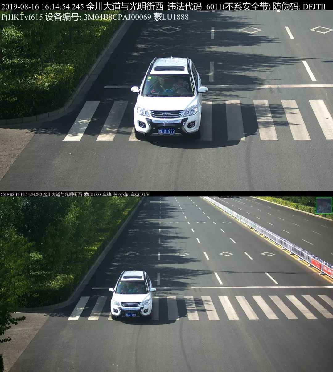 临河交警曝光一批开车不系安全带司机_违章