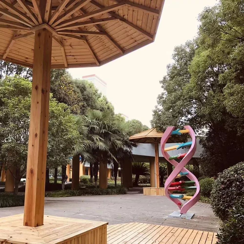 我是小学生啦2019学年上海市民办金苹果学校小学部新生适应性夏令营