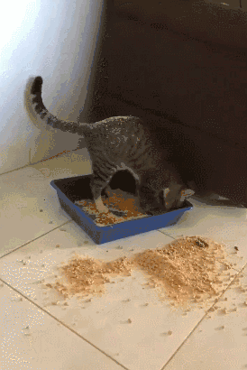 274_410竖版 竖屏gif 动态图 动图