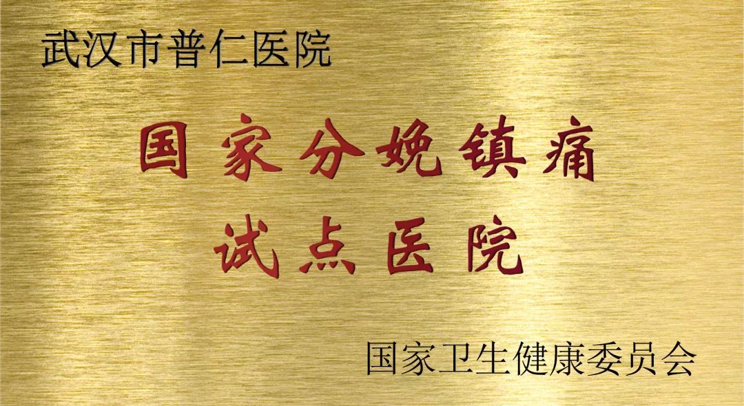 小普喜報武漢市普仁醫院被授予湖北省分娩鎮痛聯盟理事單位