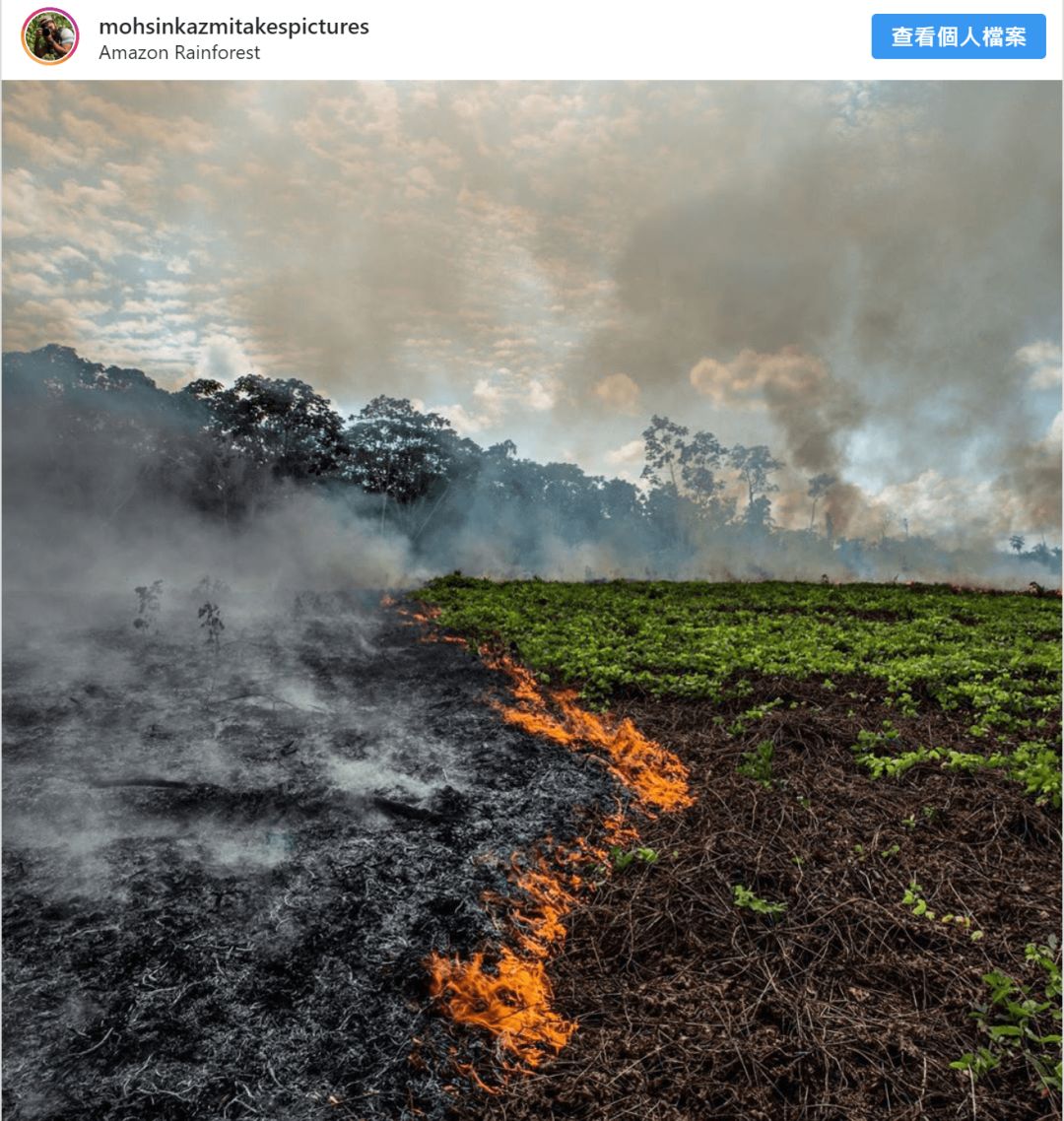 假如我们失去了亚马逊热带雨林