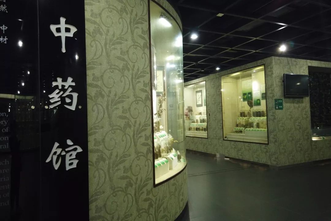 广州中医药博物馆图片
