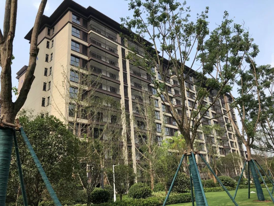 长葛建业春天里一期即将盛大交房家期已到恭迎业主幸福归家