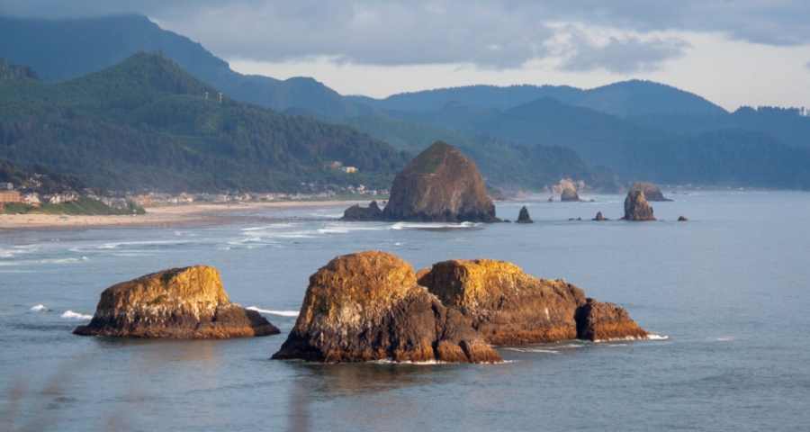 家电厂商要懂得敬畏市场的力量：不能盲目透支市场和消费-家电圈官网