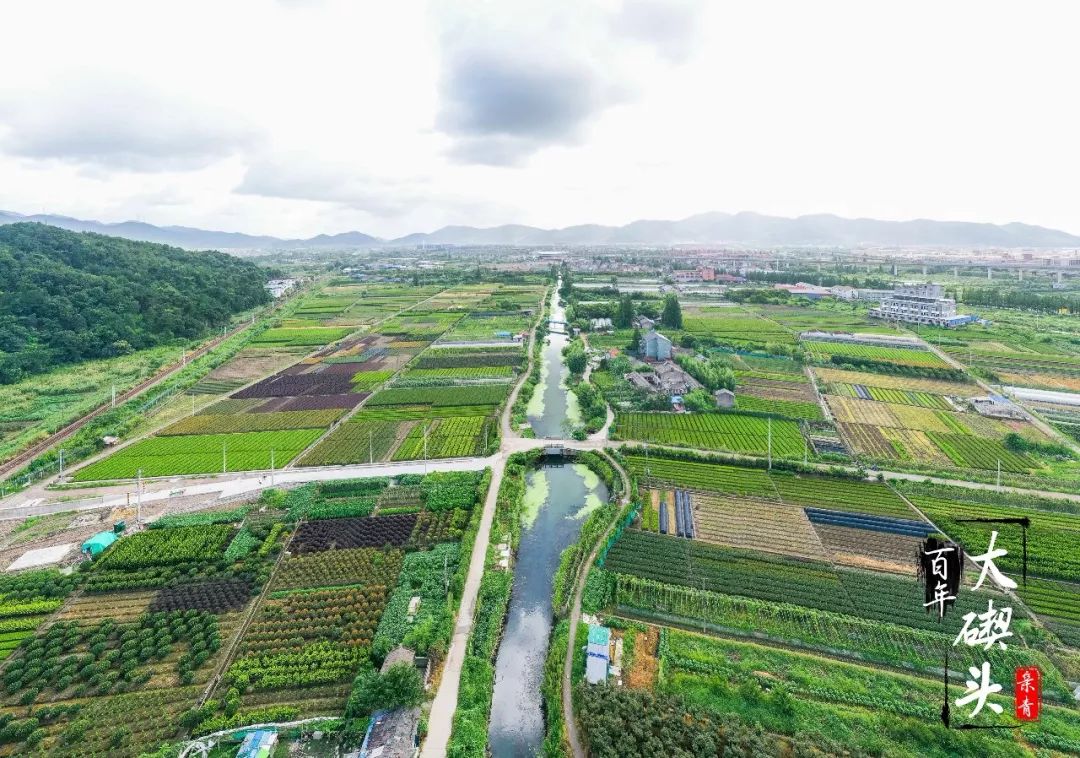 象山大碶头村图片