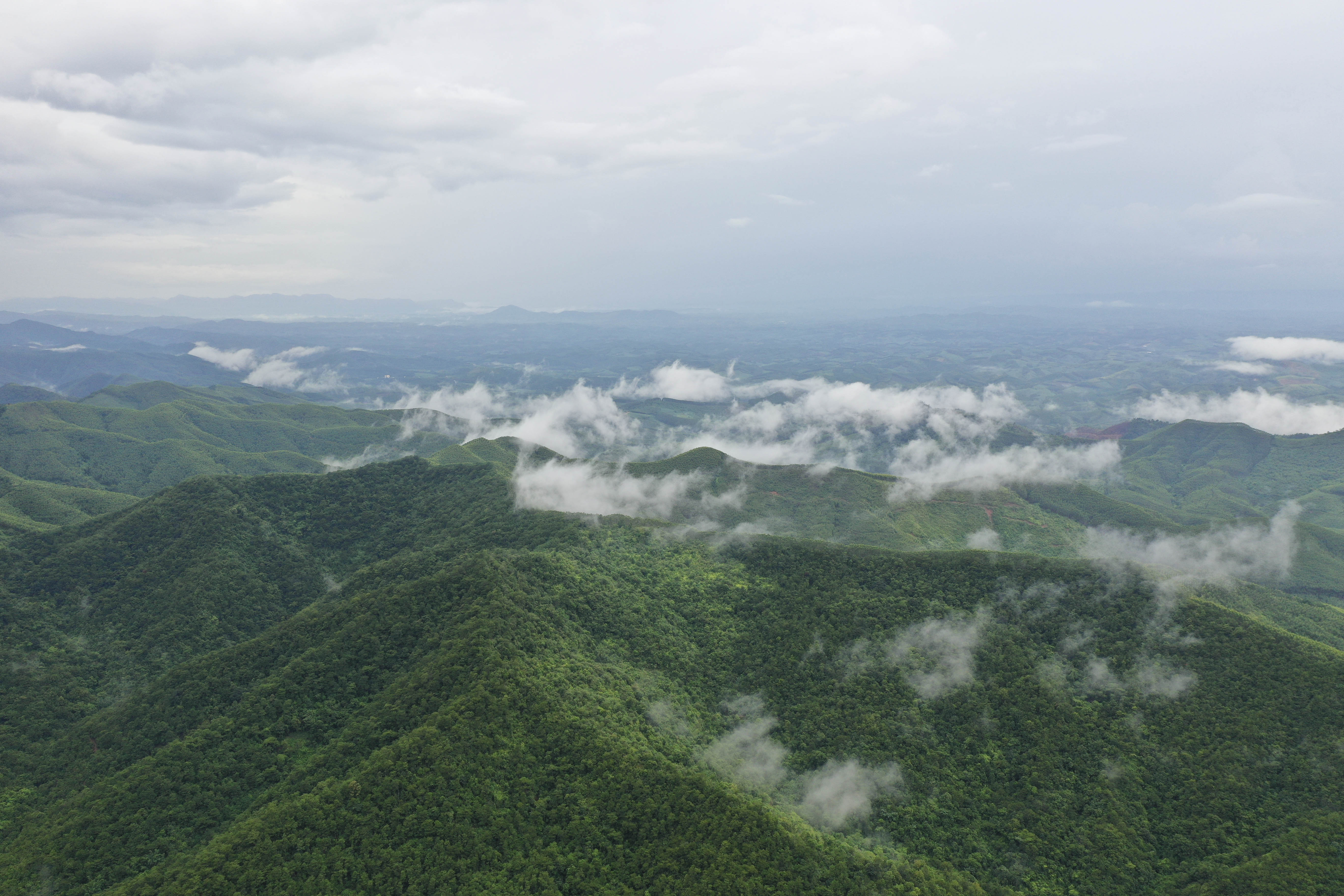 罗平十万大山图片