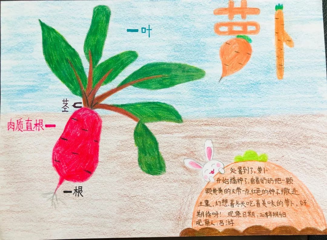 二十四节气处暑处暑不是暑凉秋知我意